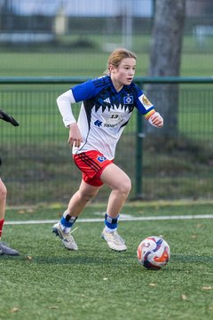 Bild 460 - wBJ Hamburger SV - Holstein Kiel : Ergebnis: 8:0